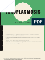 Toxoplasmosis Micro2