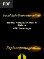 Download esplenoportografia by Adriana Midori SN5018871 doc pdf