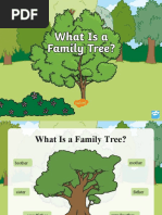 Cfe P 258 What Is A Family Tree Powerpoint English - Ver - 4