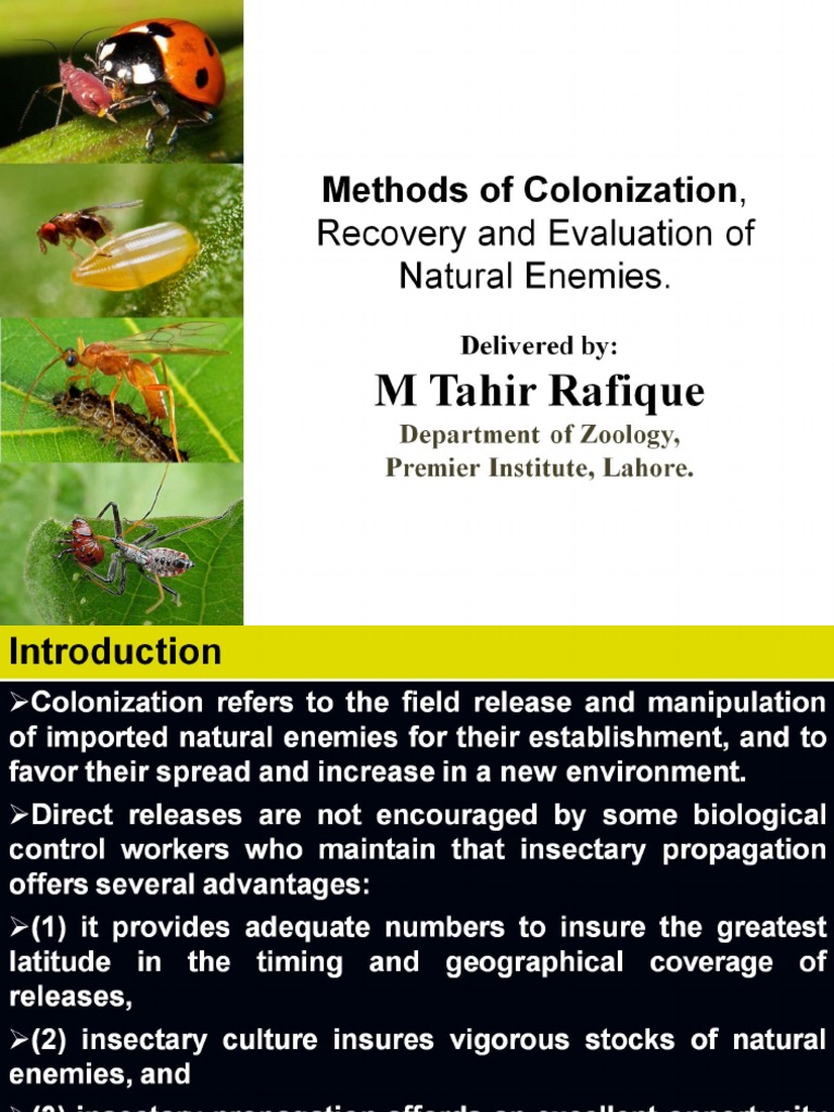 Colonization of Natural Enemies P1 | PDF