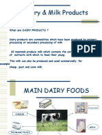 Dairy & Milk Products
