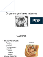 Organos genitales internos