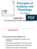 Introduction To Human Body Anatomy Physiology