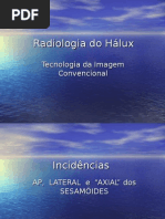 Download Hlux by Adriana Midori SN5018914 doc pdf