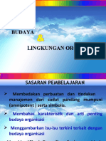 Budaya Dan Lingkungan Organisasi