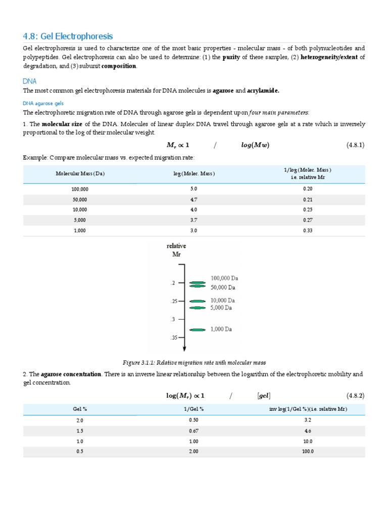 Gel Electrophoresis: DNA & Protein Analysis | PDF | Gel Electrophoresis ...