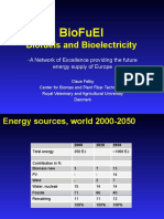 Biofuel: Biofuels and Bioelectricity