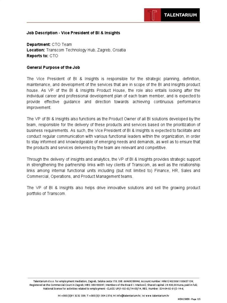 Job Description Vice President of BI & Insights PDF Analytics