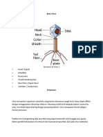 Bab 2 Virus