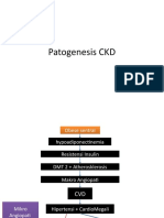 Patogenesis & Patofisiologis Chronic Kidney Disease