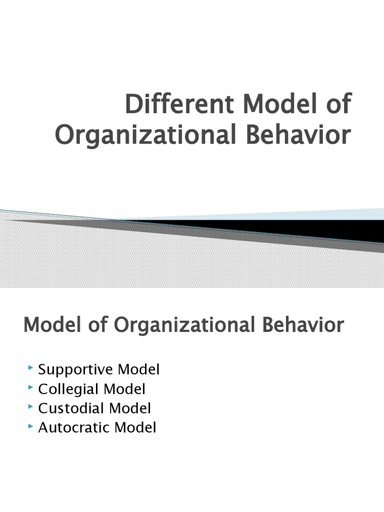 Four Models of Organizational Behavior | PDF