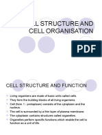 Cell Structure and Cell Organisation