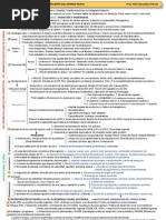 ESQUEMA-GUIÓN.  DINAMICA RECIENTE DEL MUNDO RURAL