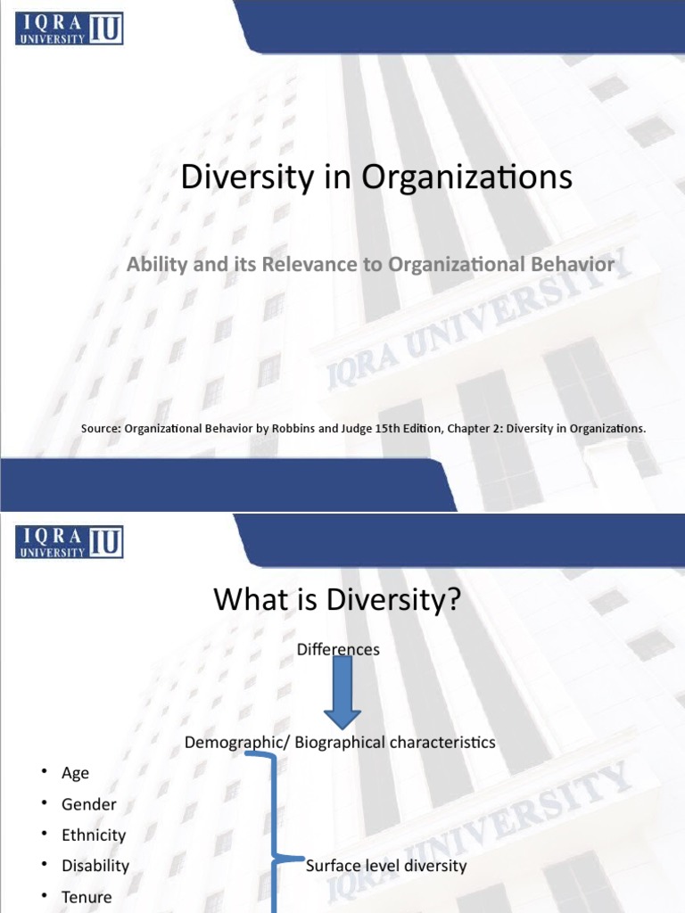 Understanding Diversity in Organizations | PDF | Diversity (Business ...