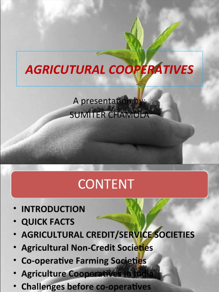 Overview of Agricultural Cooperatives in India | PDF | Cooperative ...