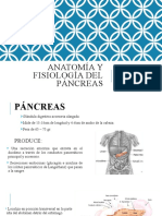 ANATOMIA Y FISIO - PANCREAS