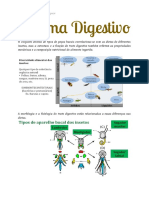 Entomologia Básica - Sistema Digestivo 