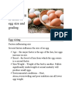 FivC87mm5d - Qualities of A Fresh Egg in Terms of Egg Size and Grading