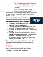 Construindo o Casamento Dos Meus Sonho 2