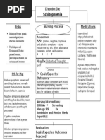 Schizophrenia Concept Map