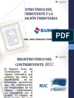 Registro Único Del Contribuyente