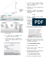 Bacilus Gram Negativos Enterobacteriaceae