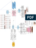 Evaluación Neurologica Parte 2