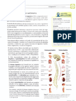 1.3.1 Sistema Nervioso Autónomo 