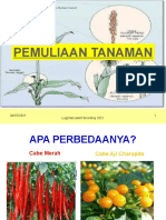 PEMULIAAN TANAMAN