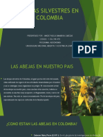 Abejas Silvestres en Colombia