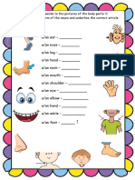 Plural Nouns. Body Parts