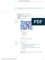 Evaluacion Protozoos Intestinales - Revisión Del Intento