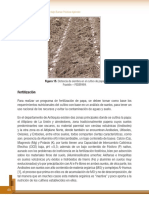 Fertilizacion Manual - Tecnico - Del - Cultivo - de - Papa - Bajo