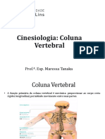 CINESIOLOGIA - Aula 5 e 6 - Coluna Vertebral Cinesiologia