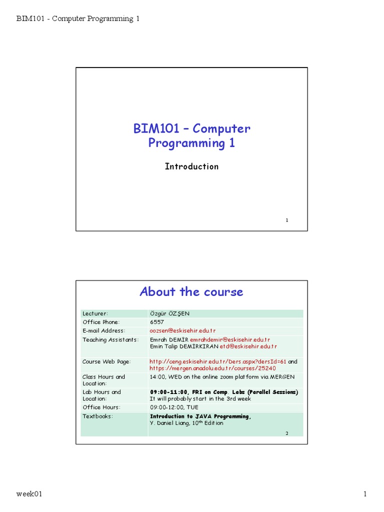 BIM101 - Computer Programming 1 | PDF | Display Resolution | Central ...