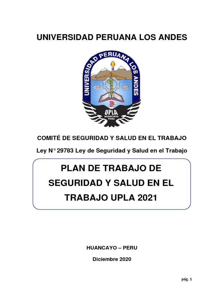 Plan Anual SST 2021 | PDF | Seguridad y salud ocupacional | Gestión de ...