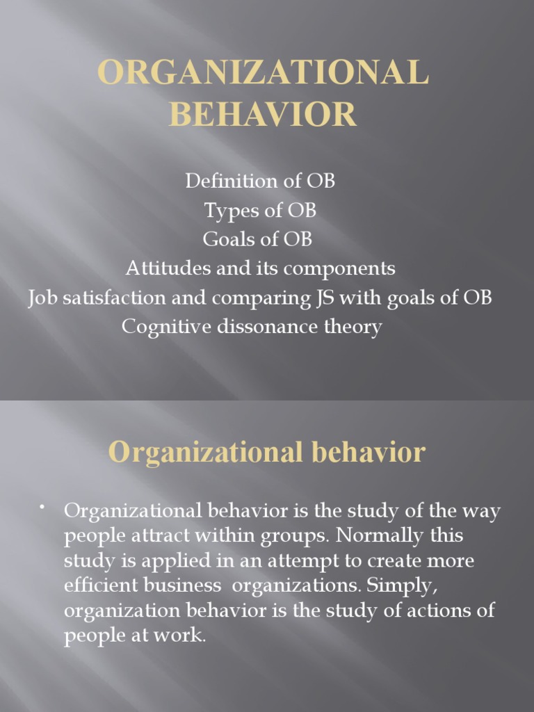 Organizational Behavior | PDF