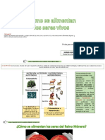 Guia 10. Nutricion en Organismos Sencillos