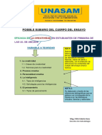 11-Posible Sumario Del Cuerpo Del Ensayo