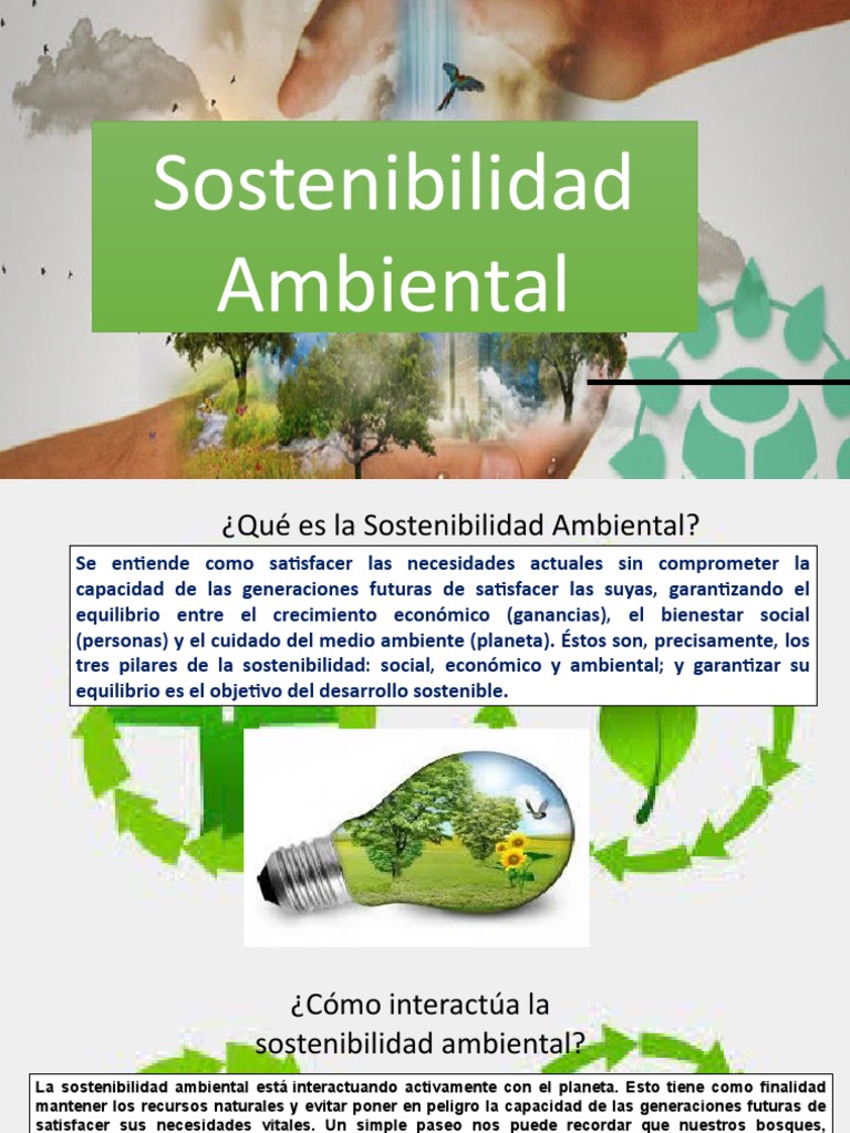 Sostenibilidad AMBIENTAL. | PDF | Sustentabilidad | Entorno natural