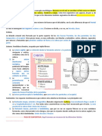 Móvil Fetal 2