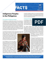 UN Indigenous Peoples in the Philippines