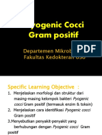 BBS2-MB-K9 Pyogenic Cocci Gram Positif