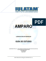 Guia de Estudio AMPARO