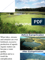 920200819890313102_Eutrophication Notes(1)