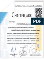 2da Edición Curso de Alfabetización Digital 2020 (Modalidad Distancia) - Certificado Digital Válido Final 9353