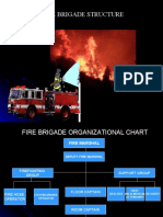 Fire Brigade Organization