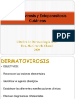 Clase Virtual Dermatovirosis y Ectoparasitosis Cutáneas