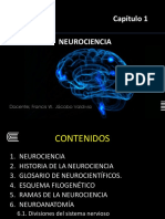 Neurociencia Diapositiva Cap 1