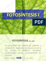 Fotosintesis 1